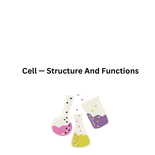 Cell — Structure And Functions 